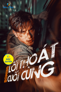 Domino: Lối Thoát Cuối Cùng